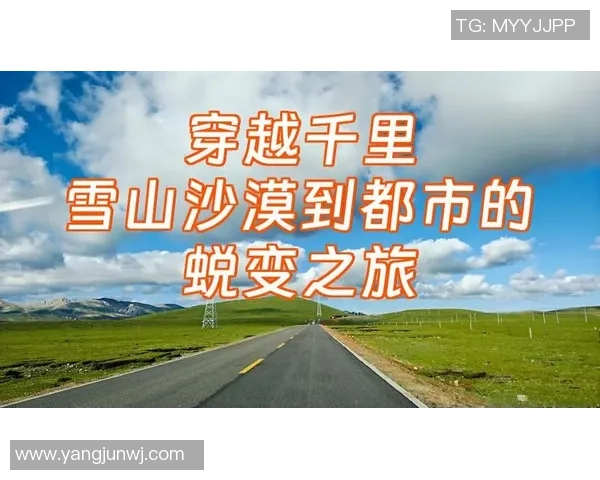 杭州足球队的蜕变之旅：从传统到现代的转型纪实与展望